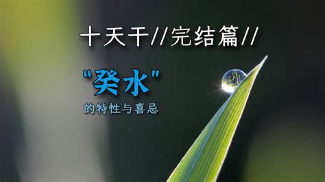 癸水 壬水|黄方易学：论十天干之：壬水和癸水的区别